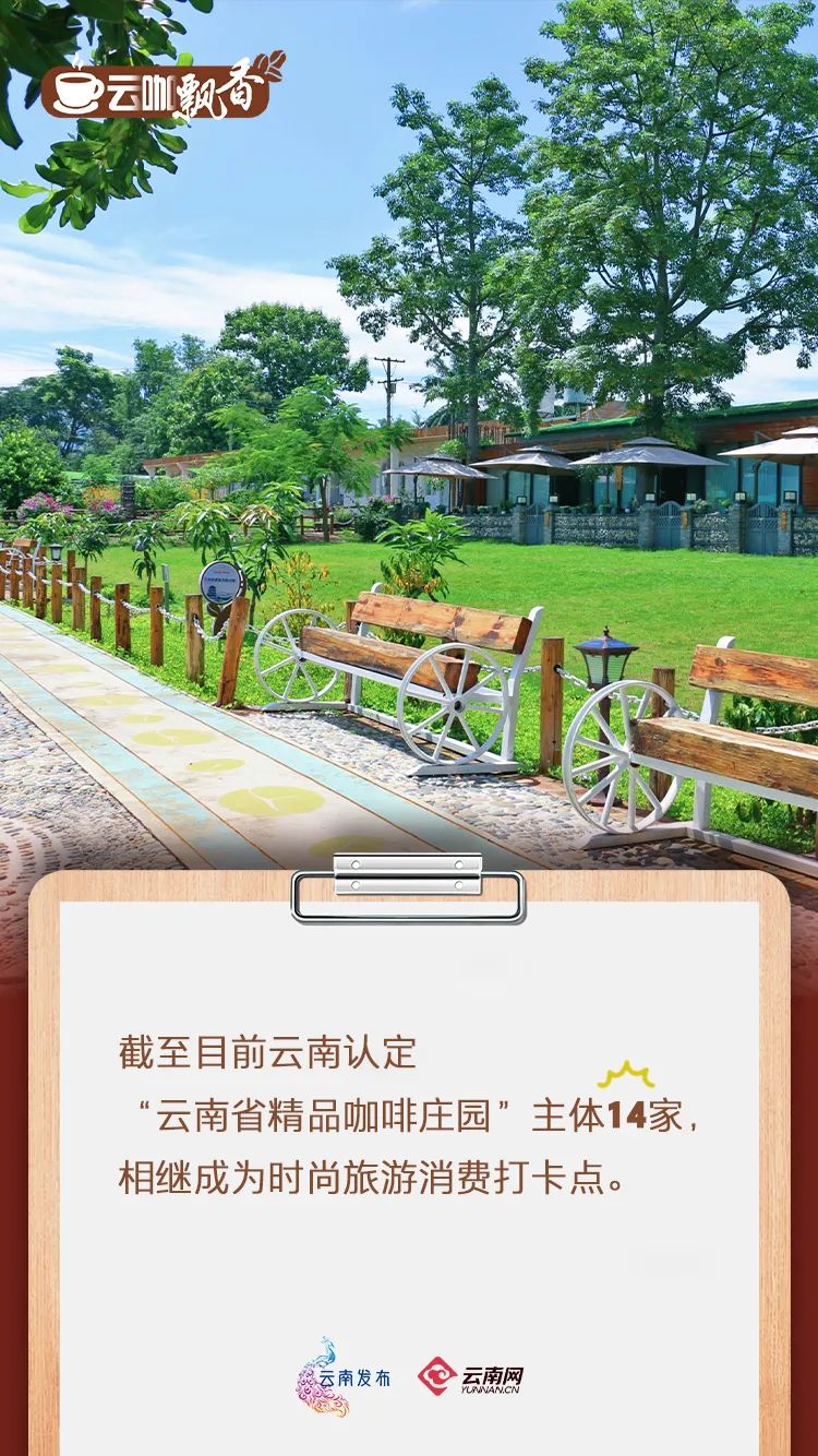 云南咖啡产业获多项资金扶持 我国现存咖啡相关企业超23.5万家