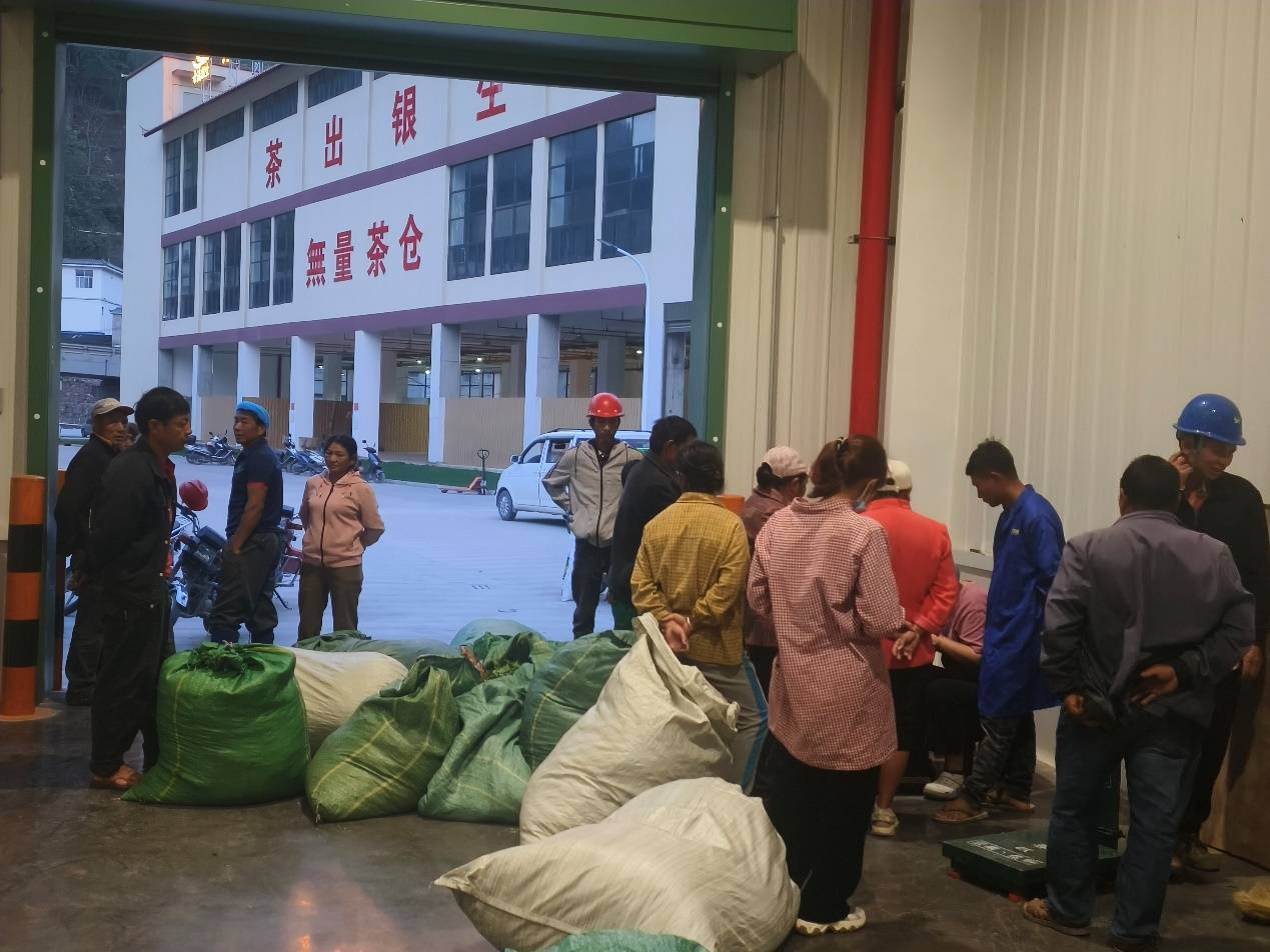 农夫山泉云南捐建5座茶叶初制厂 钟睒睒：乡村振兴要激活传统资源的价值觉醒