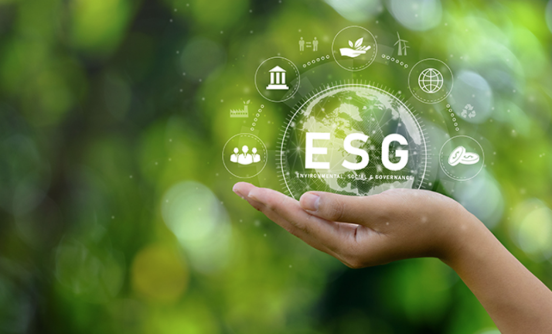 瑞玛精密（002976.SZ）妙盈科技ESG评级C，行业排名第197