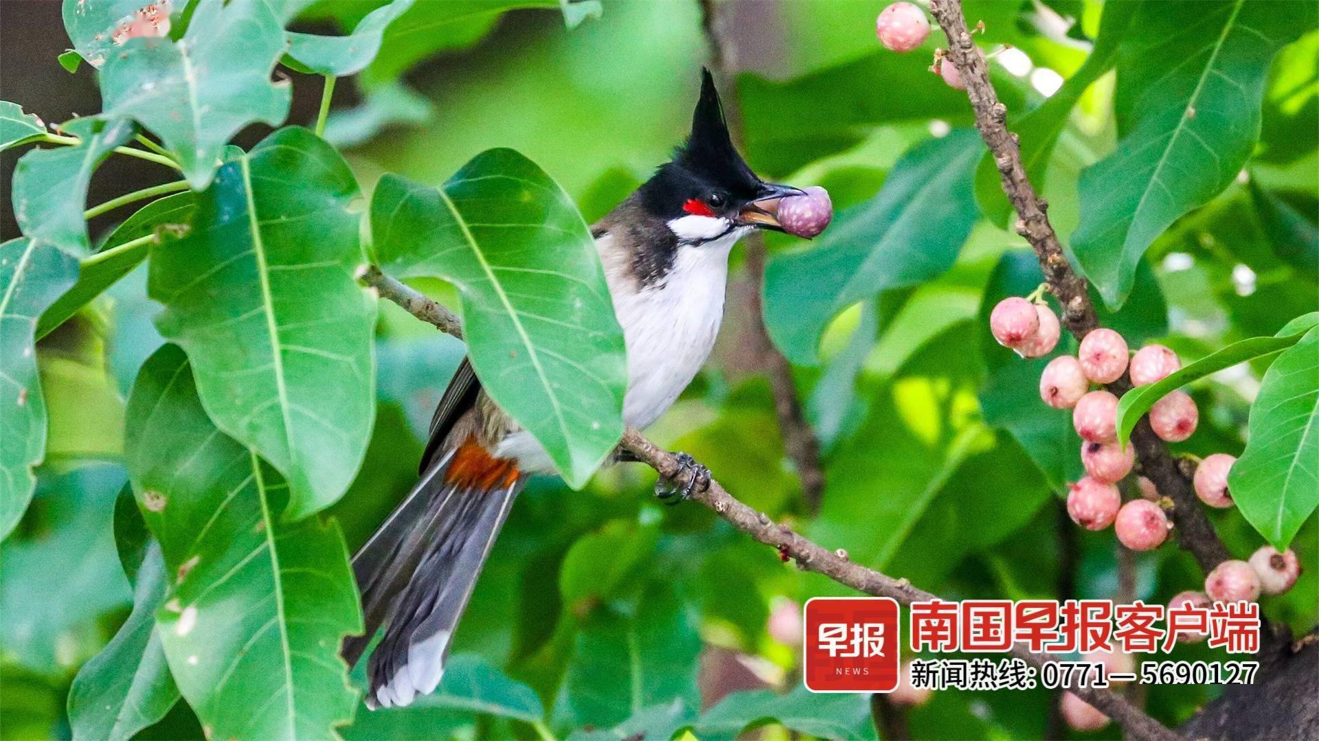 立方风控鸟·早报（5月12日）
