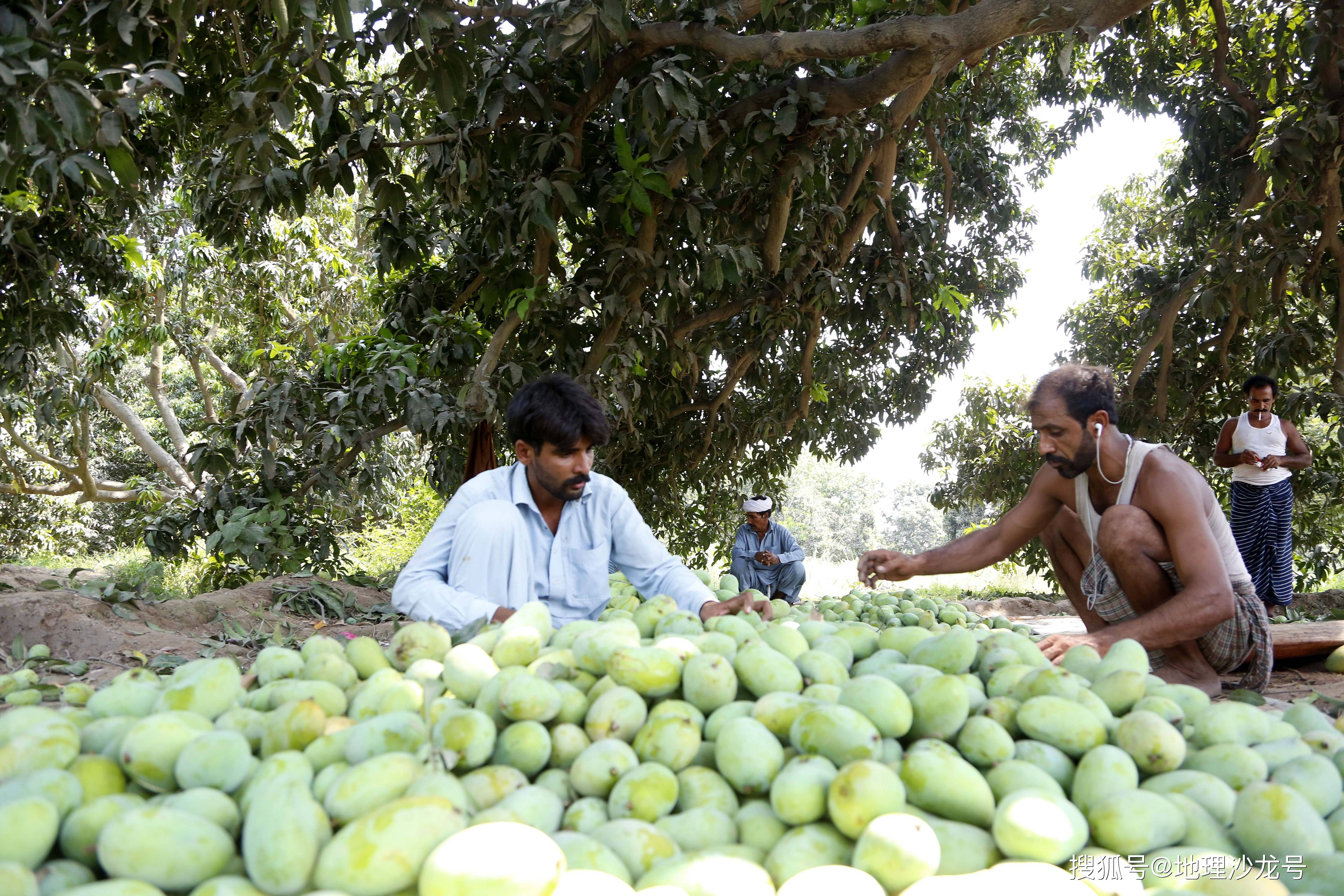 杨广元公参出席中国―巴基斯坦农业联合工作组第四次会议并致辞
