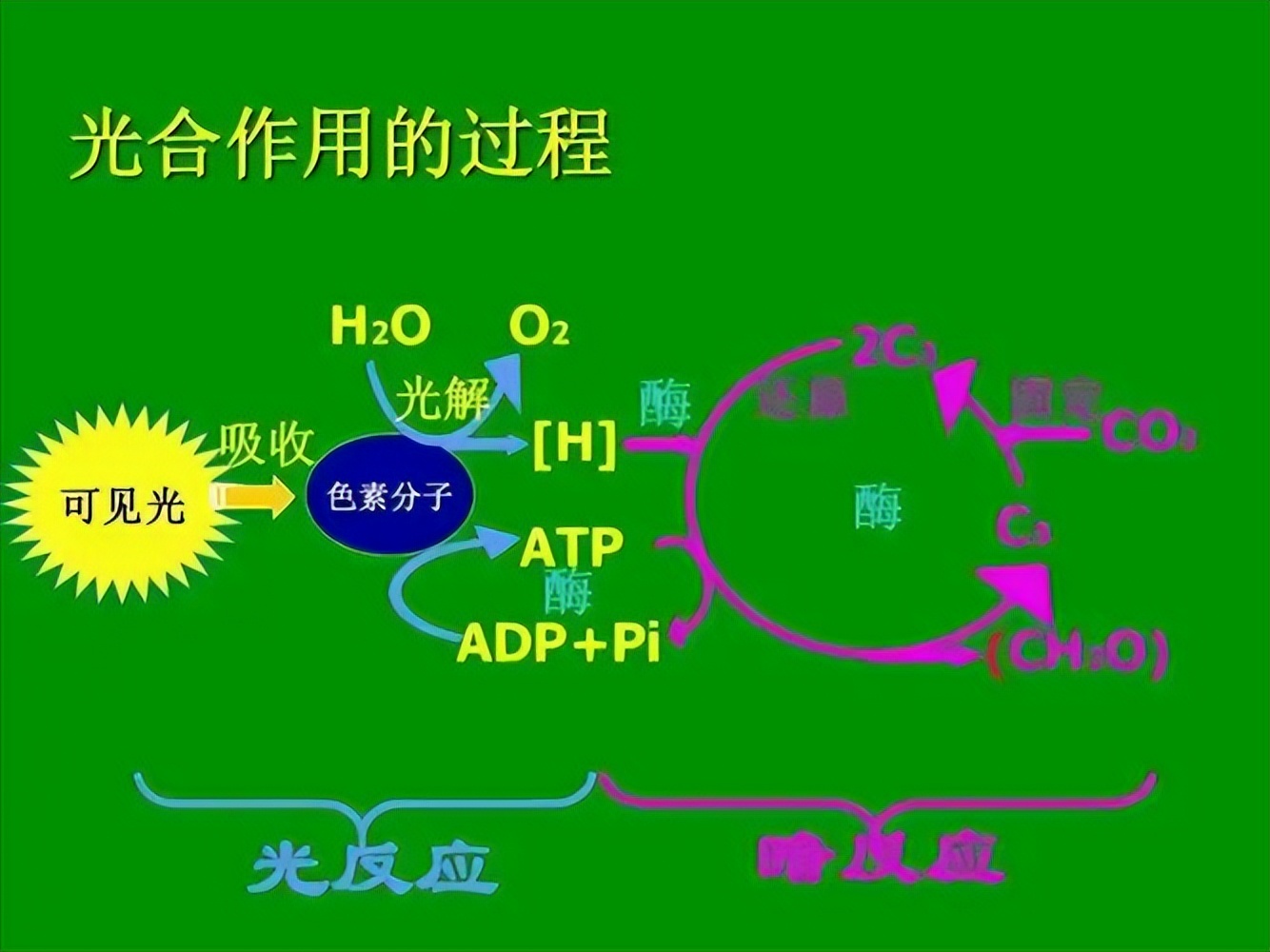 光学微腔新制造法助力探索光与物质相互作用
