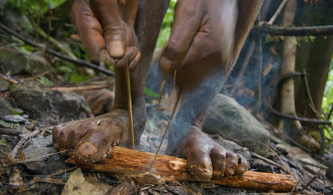 巴新着手振兴金枪鱼产业