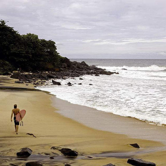 利比里亚启动2600万美元家禽项目