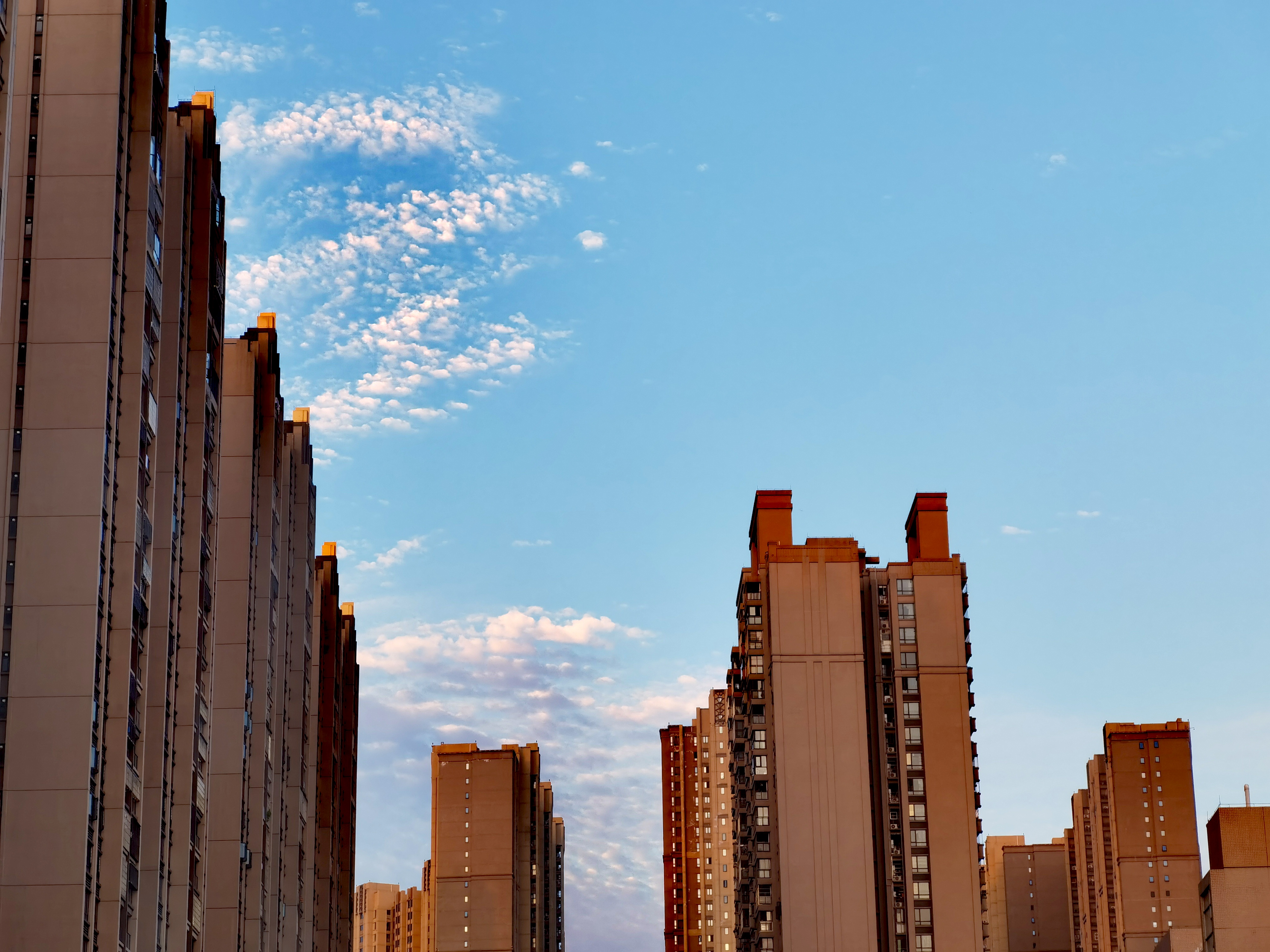 海大集团获得发明专利授权:“一种提高斑点叉尾�t出肉率的饲料”