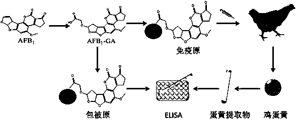 润禾材料获得发明专利授权:“抗菌吸湿柔软剂及其制备方法”