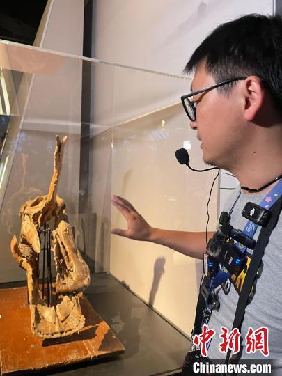 “中国恐龙大展”揭秘中国恐龙生存演化故事