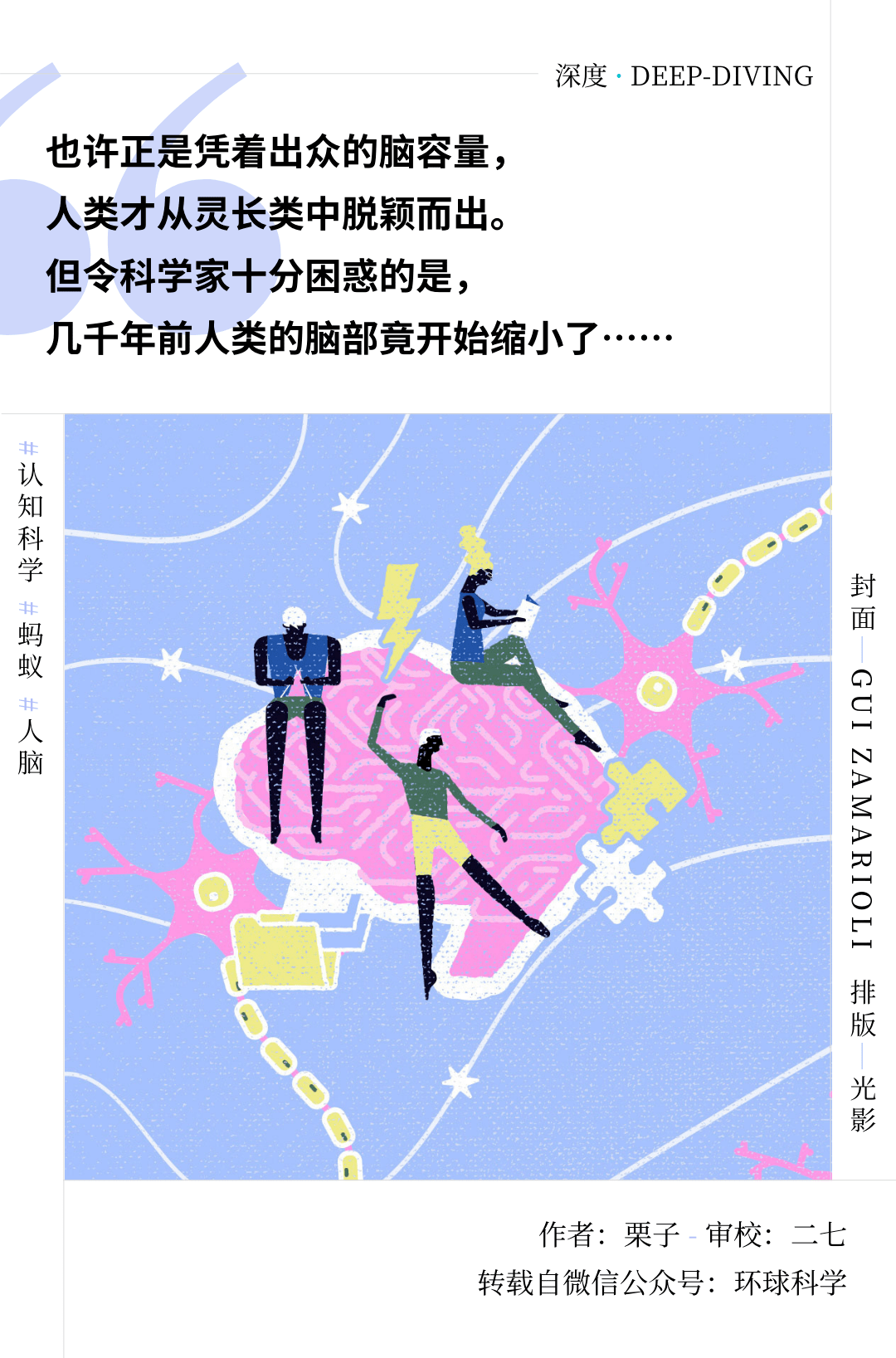 新研究：亚洲象脑重量超非洲象20% 或解行为差异之谜