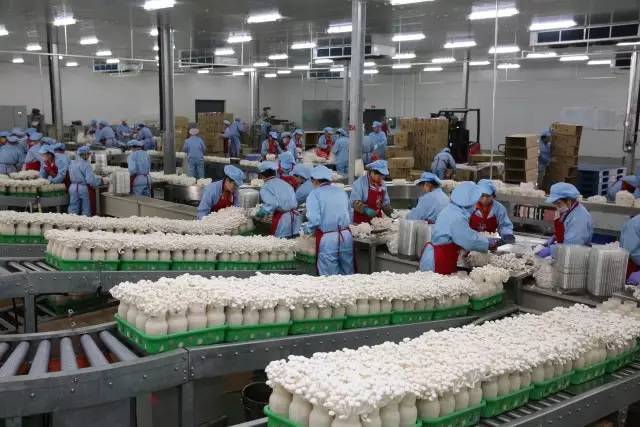 双汇发展获得外观设计专利授权:“包装袋(菌菇鲜)”