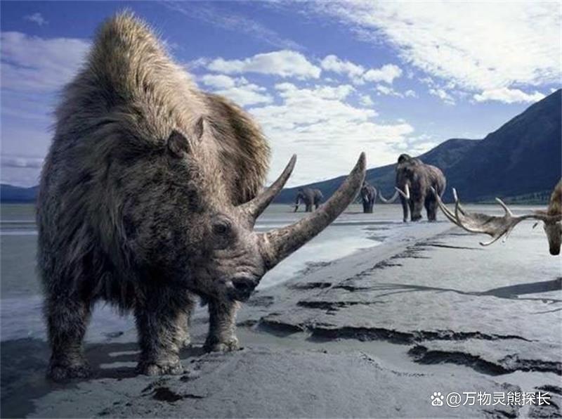 远古发现｜古基因组研究发现：青藏高原人群的“幽灵祖先”竟藏身云南