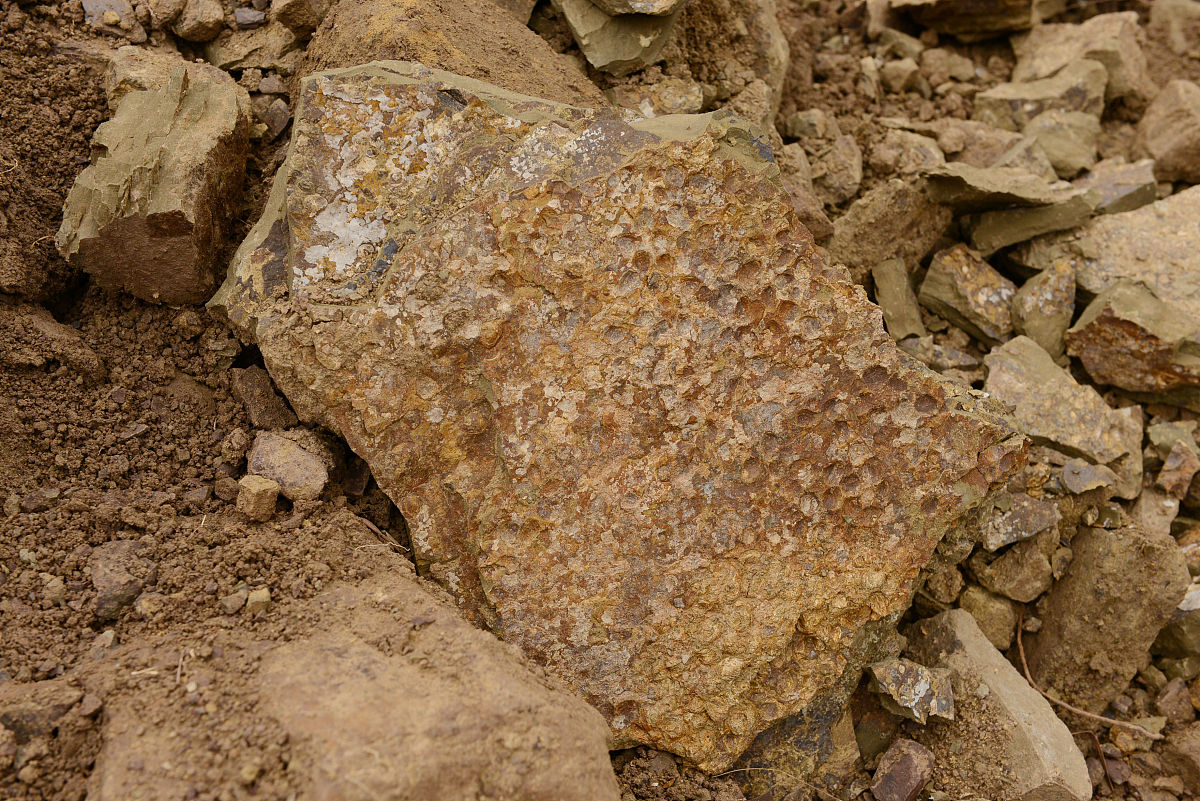 湖南黄金:目前公司锑锭的最高纯度可达99.9%