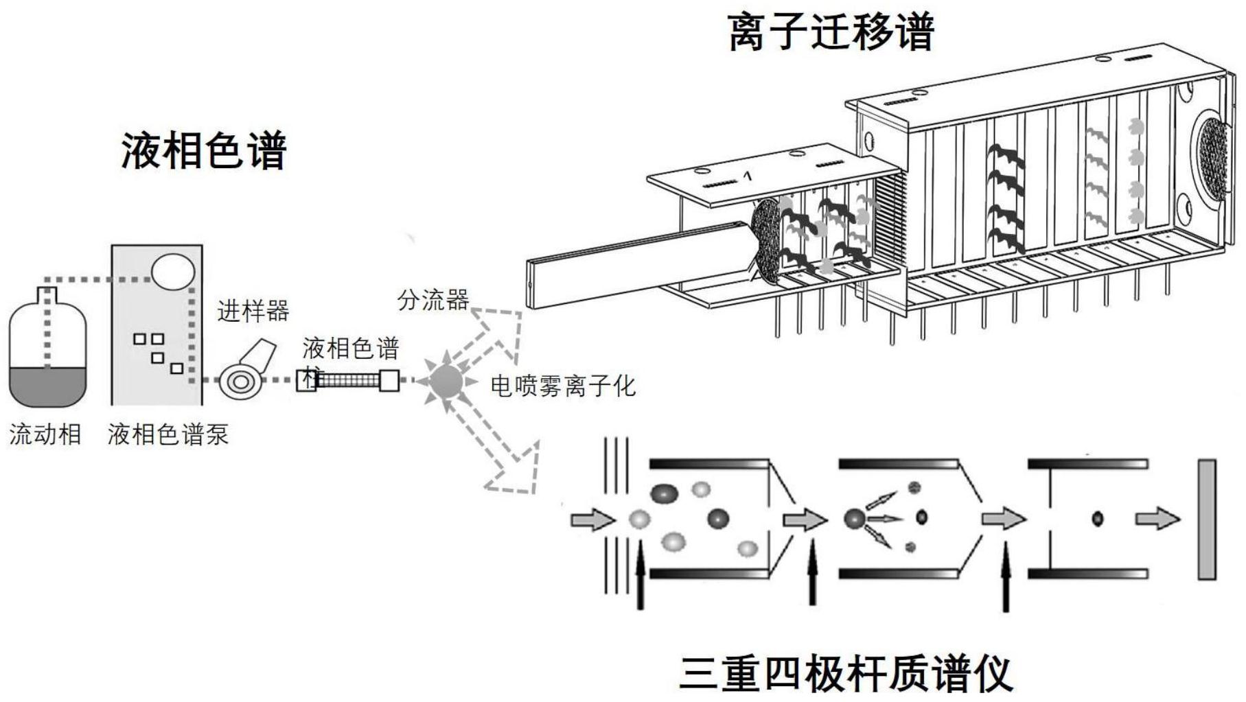 XD寿仙谷获得发明专利授权：“一种灵芝孢子全成分分离及利用的方法及应用”