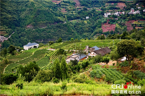 票面利率2.2%,广东省首单绿色+乡村振兴双贴标公司债券发行