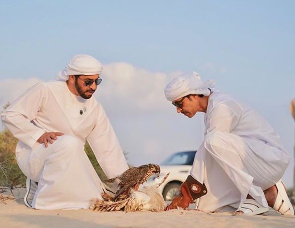 截至2024年底,阿布扎比发展基金发展融资额累计593.2亿美元