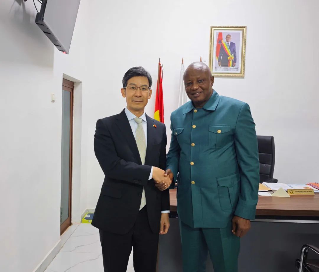 驻几内亚比绍大使杨仁火出席中铝几比铝土矿勘查项目开工仪式