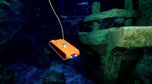 龙洲股份：公司旗下畅丰专汽的智能潜排水机器专注于水下作业