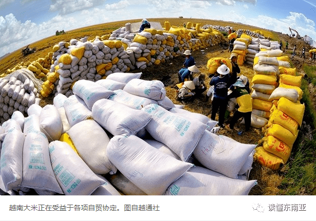 越工贸部发布“2026-2030年阶段越南国家电子商务发展总体计划”