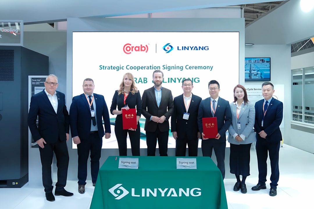 林洋能源：公司已累计回购股份82,870,581股