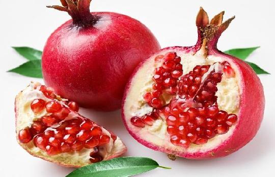 库迪咖啡北方水果基地在山西临猗奠基动工