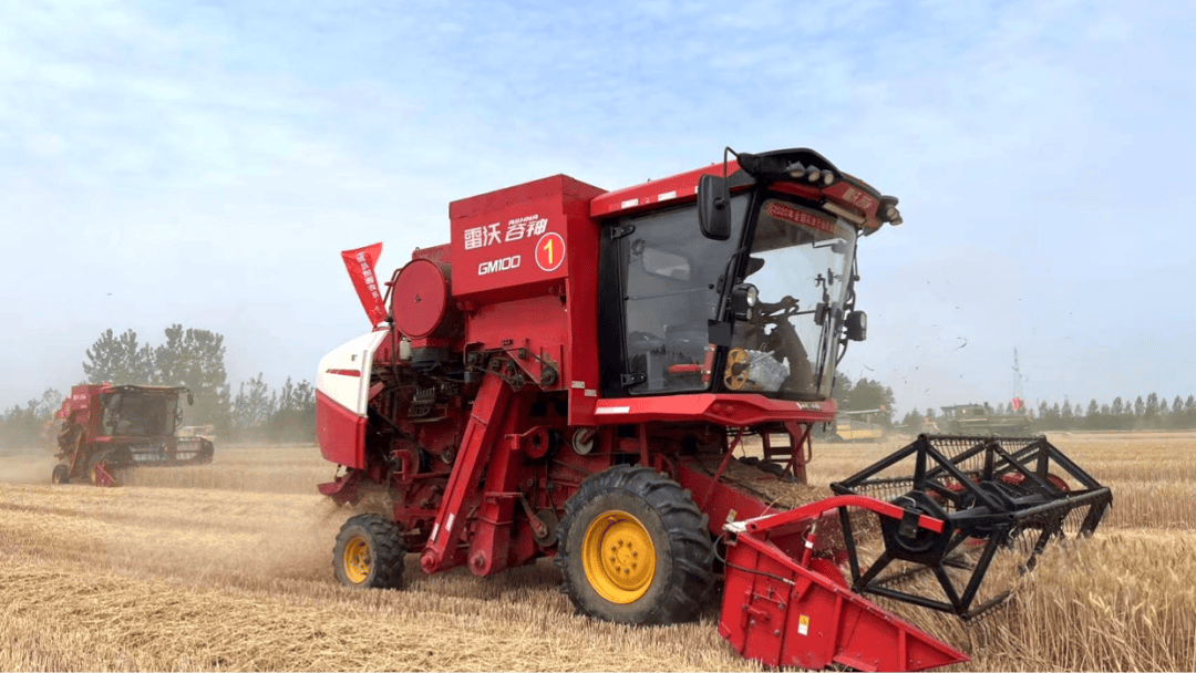 从“靠天吃饭”到“云端种田”|走进雷沃智慧农场里的数字三夏