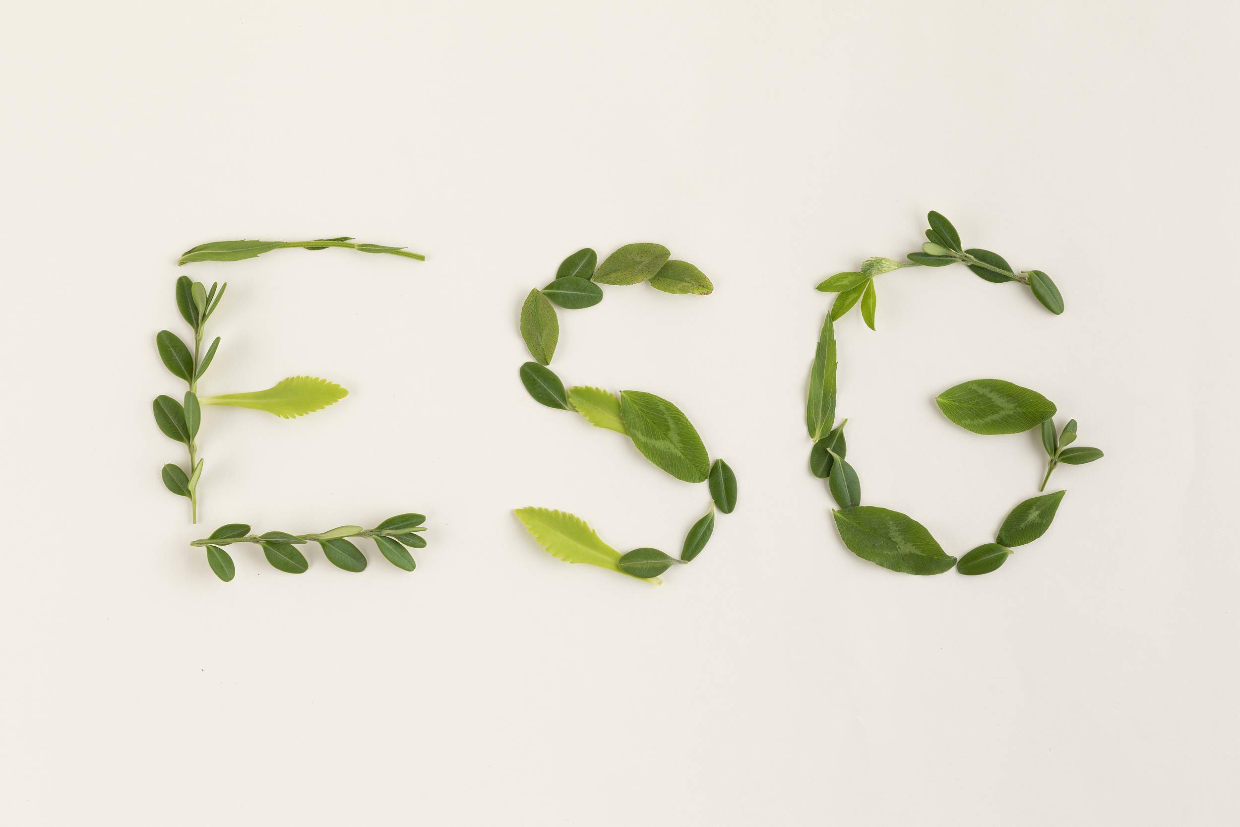 【ESG动态】节能国祯（300388.SZ）获华证指数ESG最新评级CCC，行业排名第135