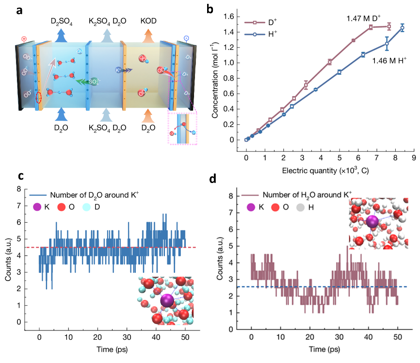 我国科学家利用双极膜低成本制备氘代酸碱
