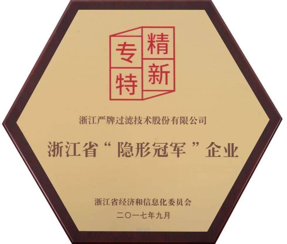 严牌股份披露总额2000万元的对外担保，被担保方为浙江严牌技术有限公司