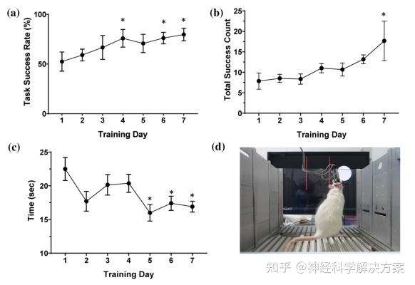 脑机接口上市企业密集披露进展 医疗领域临床应用将提速