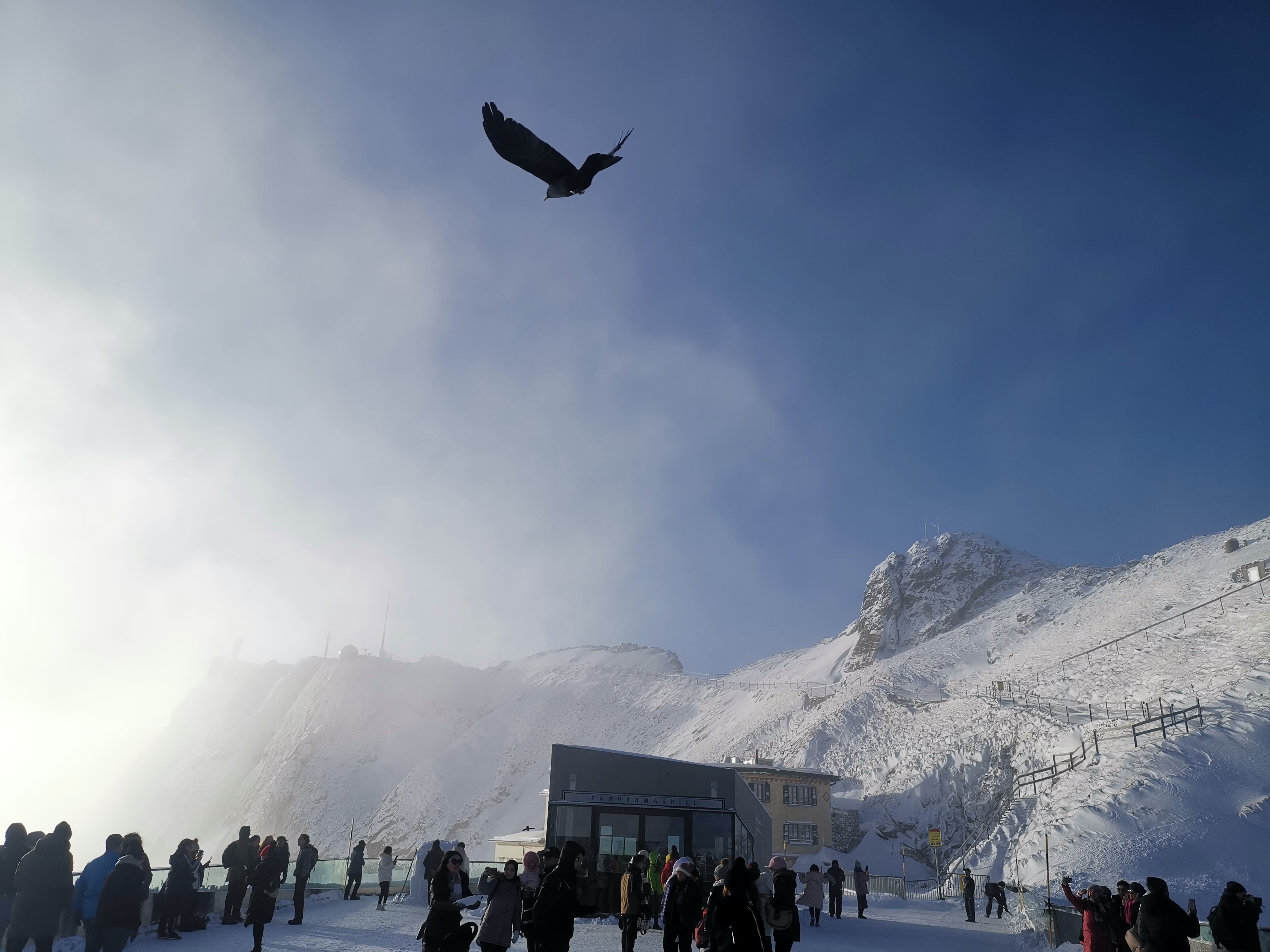 欧洲手记｜高温催热“绿色出海”——中国家电企业在欧洲迎新机遇