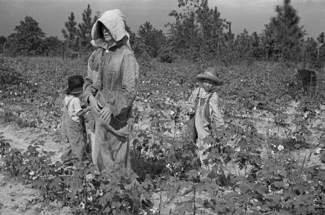 拉马福萨总统表示将审查《广义黑人经济赋权法案》