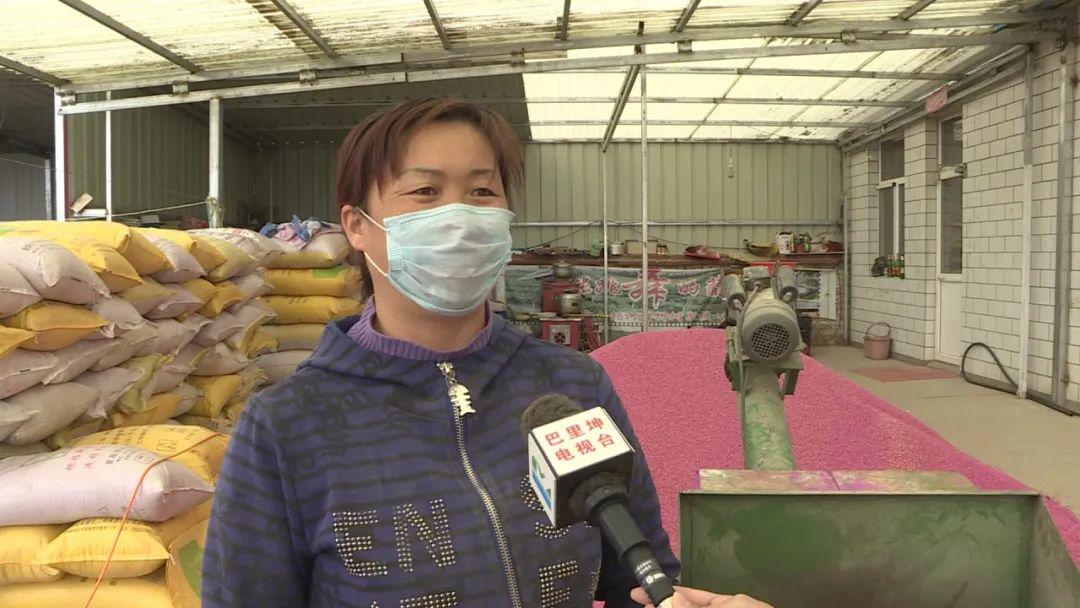 津巴布韦2025年小麦产量预计达60万吨