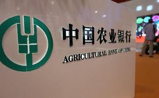 中国银行协助匈牙利发行最大规模主权熊猫债