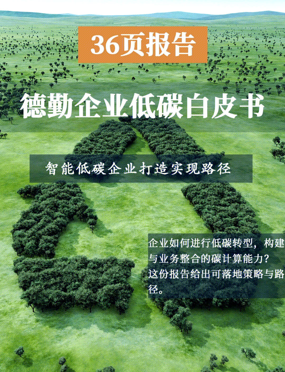 德勤:英国企业对美国投资失去兴趣