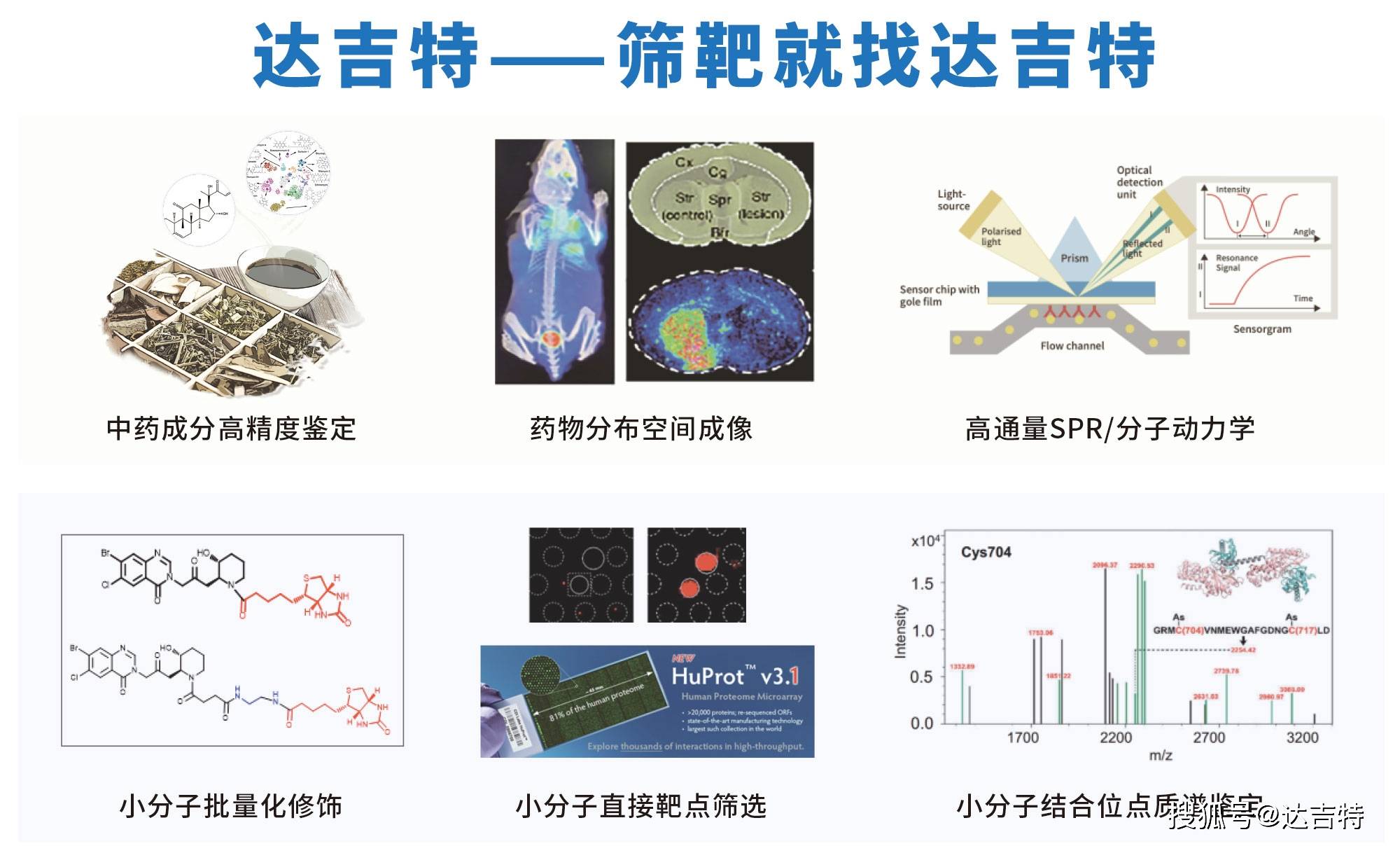 大脑芯片技术重塑人机融合新范式