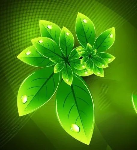 创新品种多 绿色债券发展势头足