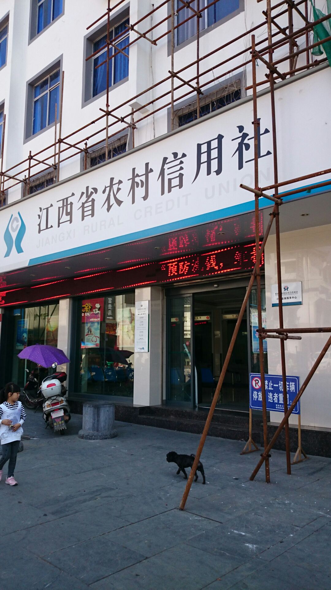 湖南省农村信用社联合社原党委委员、副主任舒立凡被查