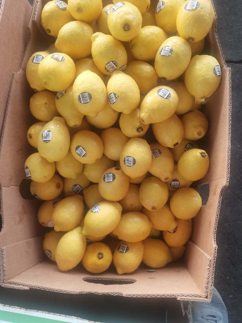 智利开辟鲜柠檬印尼市场