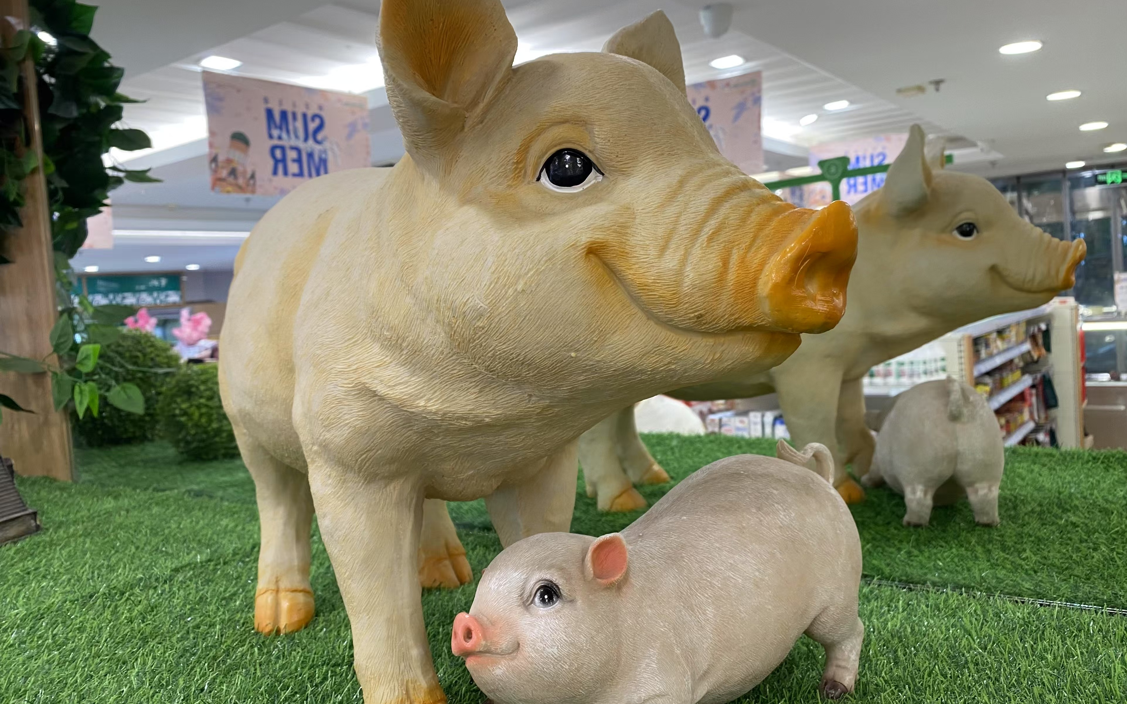 神农集团2024年净利润同比增长271%,养殖成本持续下降