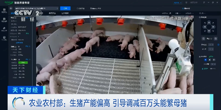 三大猪企一季度同比均实现扭亏为盈,营收同比均实现增长