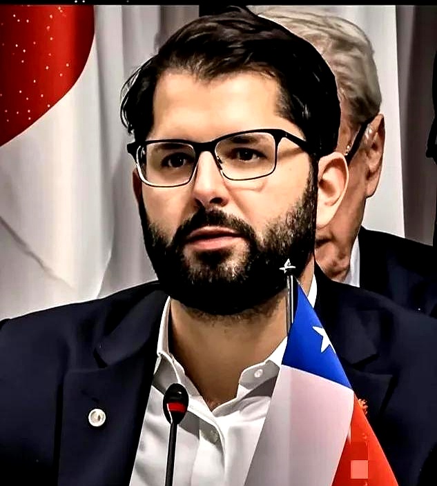 智利总统博里奇呼吁青年保持反叛精神 强调代际对话与公共空间重建