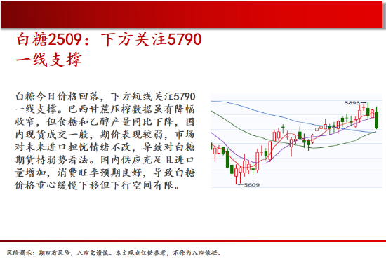 前5月全国期货市场成交量、成交额同比双增 黄金、白银等贵金属期货持续吸引投资者目光