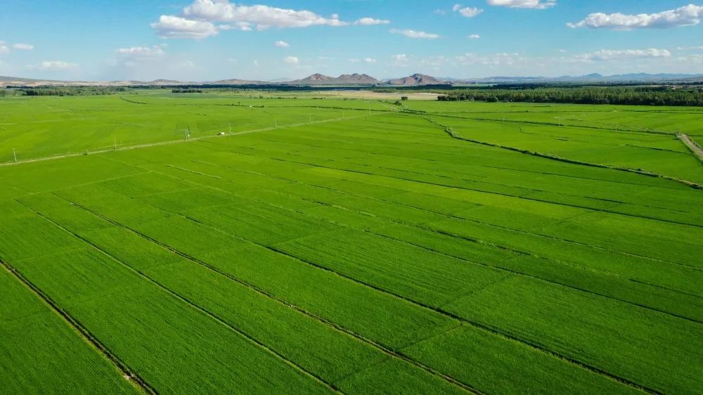 康欣新材发行乡村振兴中小微企业支持高成长产业债