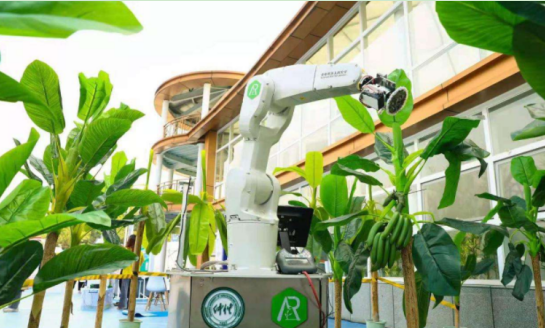 利比里亚出台首个净计量政策，加速绿色能源转型