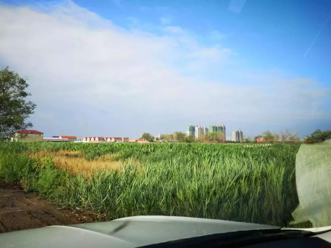 中国人保总裁赵鹏谈保险业在绿色发展中的定位作用：努力成为灾害风险的韧性复原者、环境外部性的重要治理者和绿色经济转型的长期投资者