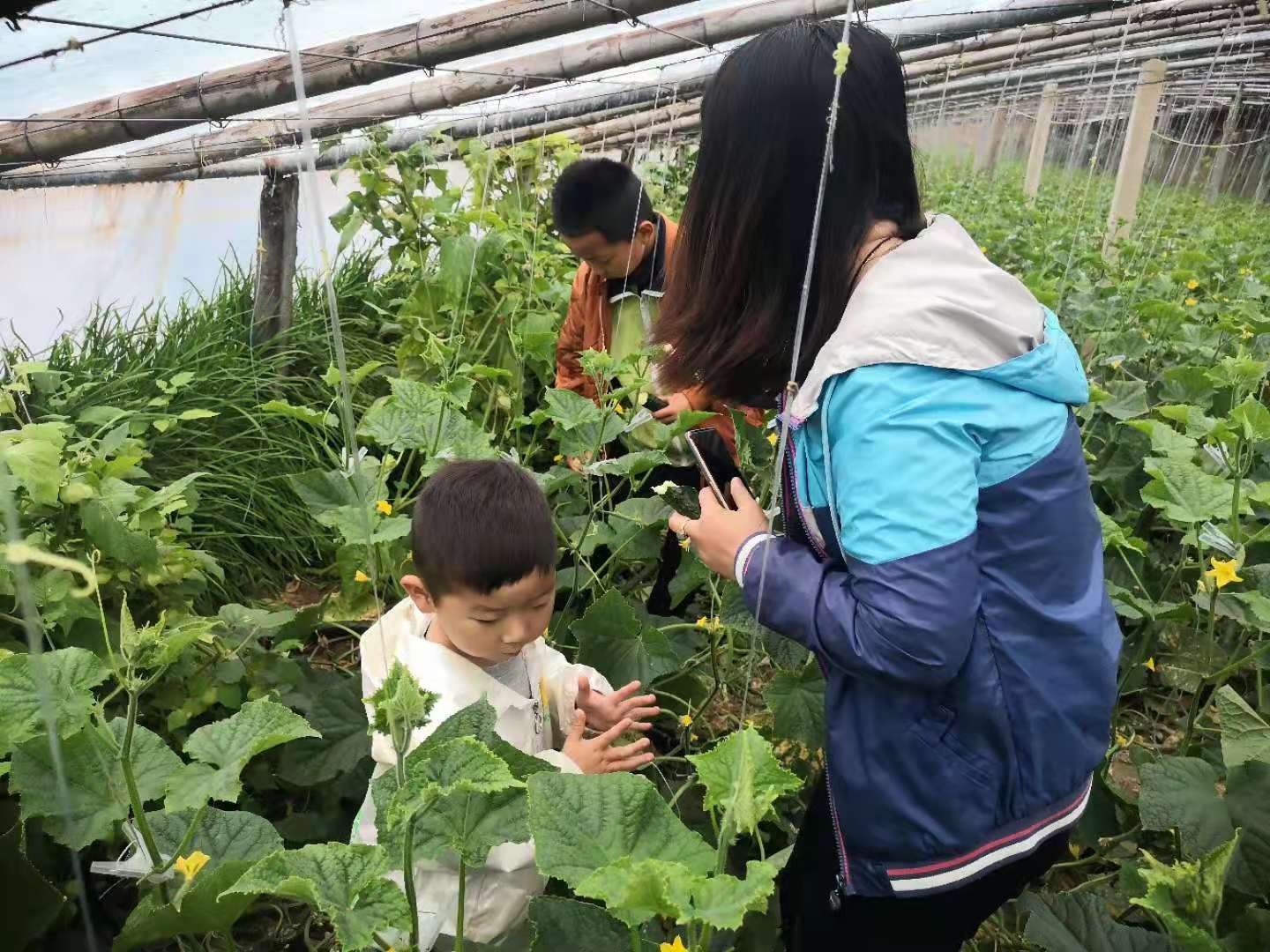 中国人保总裁赵鹏谈保险业在绿色发展中的定位作用：努力成为灾害风险的韧性复原者、环境外部性的重要治理者和绿色经济转型的长期投资者