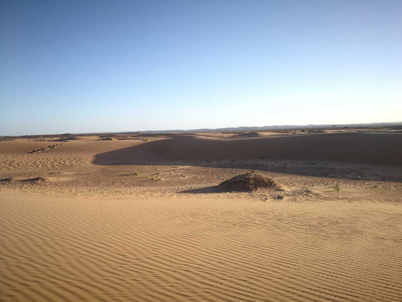 迪拜环球港务集团将开通摩洛哥至英国及北欧新航线