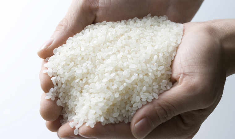 菲律宾自9月1日起暂停进口越南大米60天