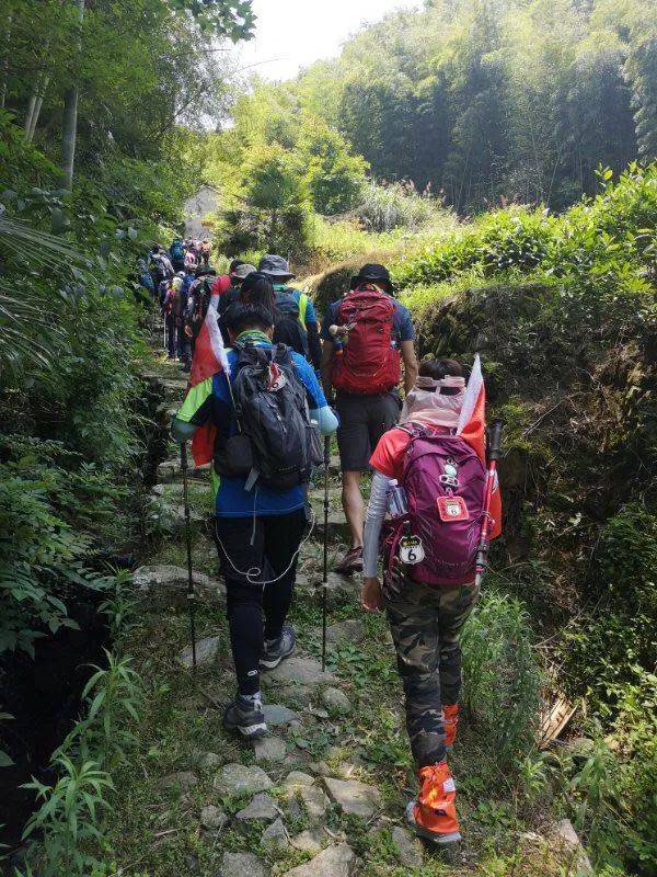 “绿”足迹| 上交所累计发行绿色、低碳转型债券逾9300亿元