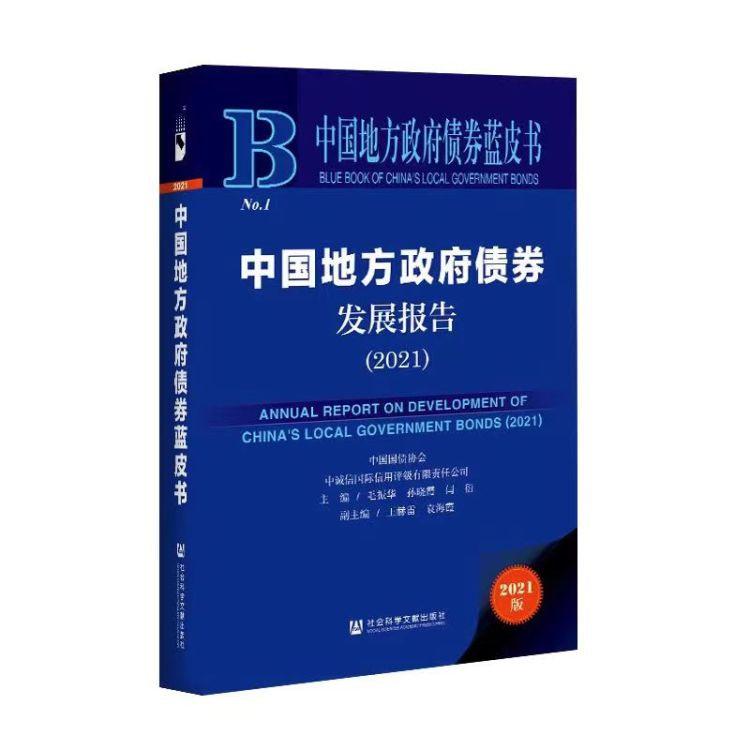 《中国地方政府债券蓝皮书（2025）》发布