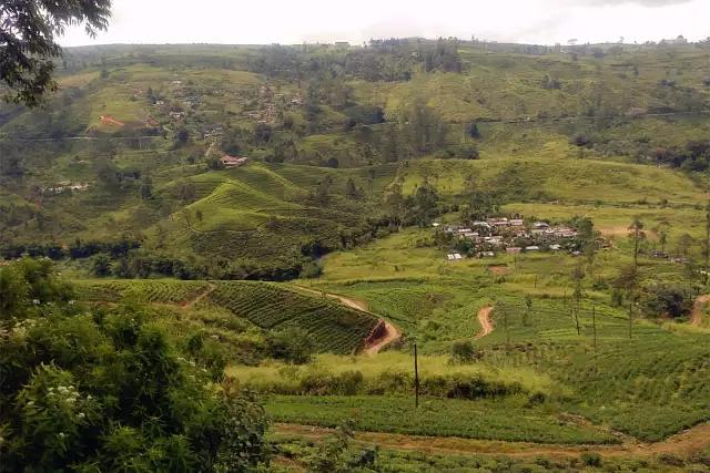 “24西部04”将于9月26日付息